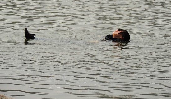 小伙公园跳湖救落水女子 被称"西安正能量"