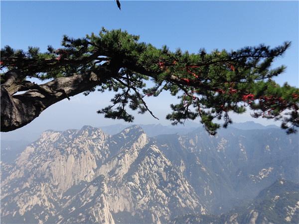 少华山玻璃栈道你敢来吗 少华山一日游报名仅