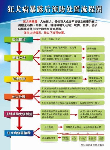 专家称95%以上人狂犬病传染源为病犬 少量为