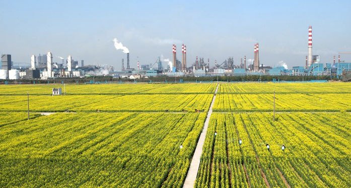 坝美村_坝美村人均收入