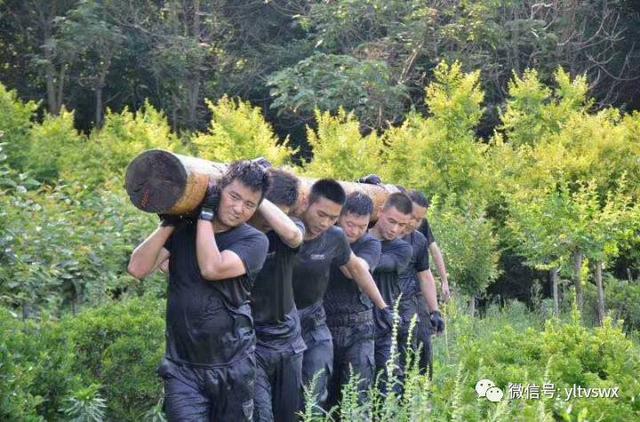 杨凌:80余名特警队员上演"警匪大片"