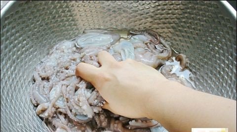 怎么抓八爪鱼和章鱼 82002256.jpg