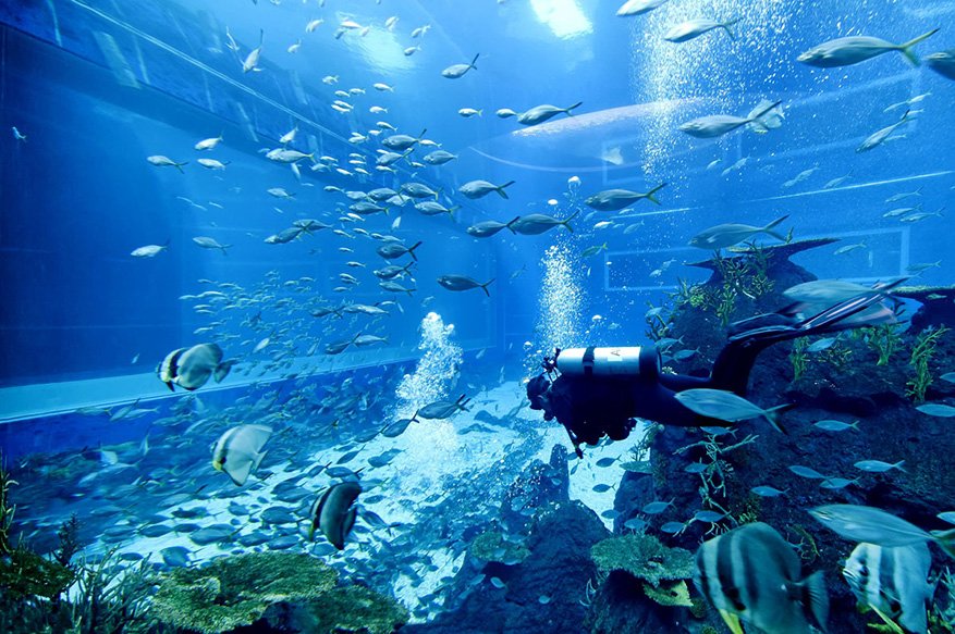 高清:令人惊艳的水族馆酒店