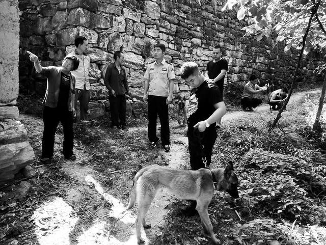 镇安警方集中围捕野狗 截至7月1日共捕杀15只