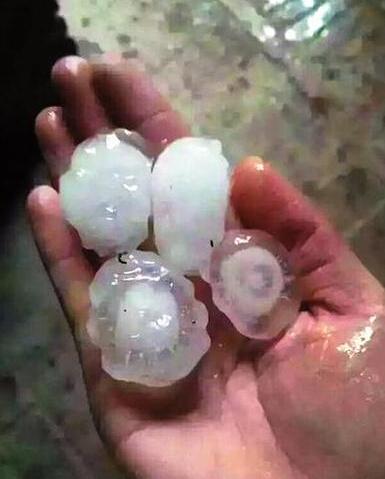 大荔潼关遭冰雹袭击 农民地里干活被砸头破血