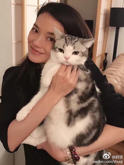 舒淇范冰冰赵丽颖孙怡 这些喜爱宠物女明星们