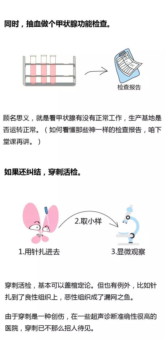 漫画 甲状腺结节是什么鬼
