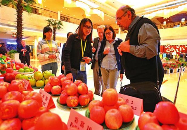 第一届世界苹果大会在陕西省举行