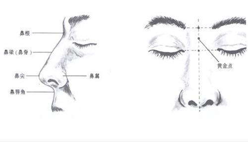 人们为什么会选择注射隆鼻