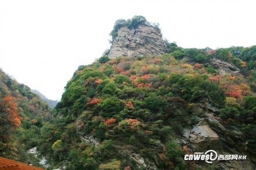 ��������һ��