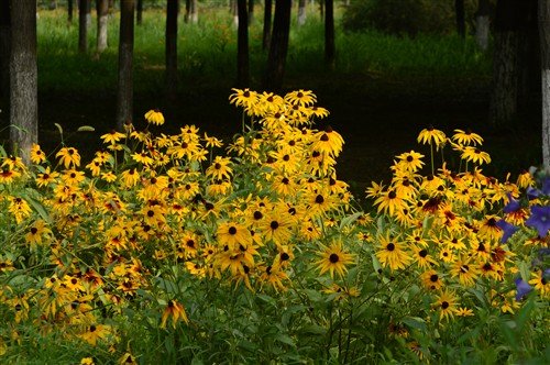 2400万像素入门级单反相机 尼康d3200试用