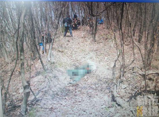 安康一男子深山私设电网非法狩猎 不料电死采