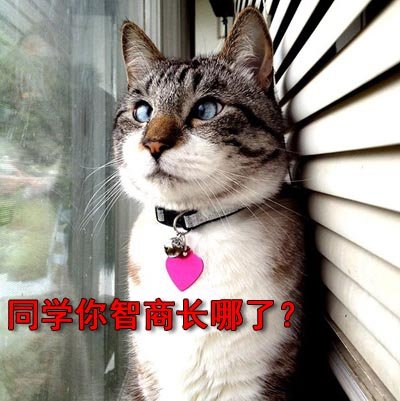 【谝闲传】这年头,谁还没碰到过几个极品女友