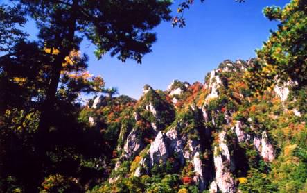 王顺山国家森林公园简介_大秦网_腾讯网