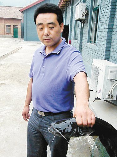 宝鸡冯家山水库有食人鱼系谣传 工程师释疑