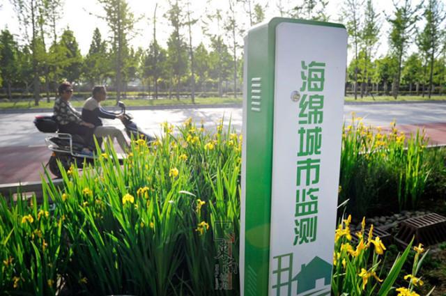 西安2020gdp开挂了_西安马拉松2020路线图