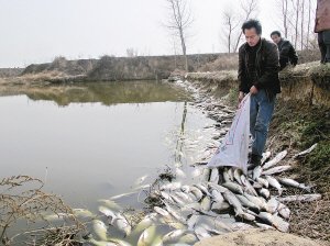 友英照片_死鱼图片_杨臭脚熏死鱼的照片_留死鱼_死鱼 ...