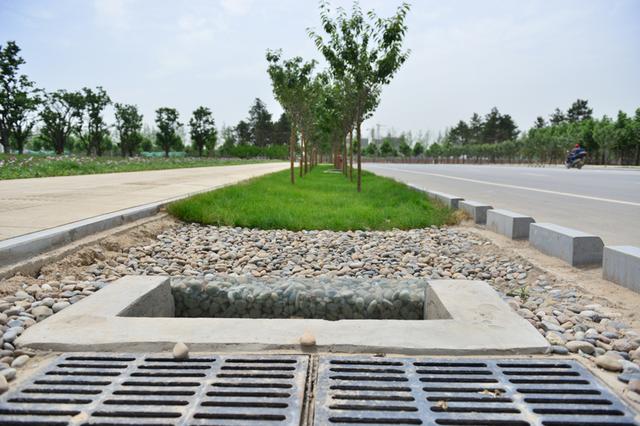 雨水综合利用四级体系之--市政道路系统_大秦网_腾讯网