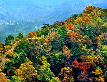 寻找秋天的一抹灿金 西安周边最佳赏秋地推荐