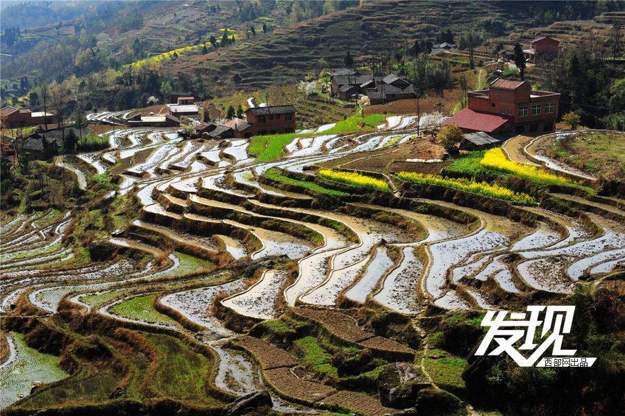 汉阴有人口_汉阴油菜花节图片