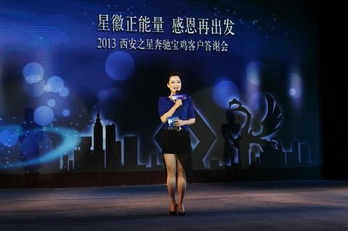 2013西安之星奔驰宝鸡客户答谢会顺利落幕