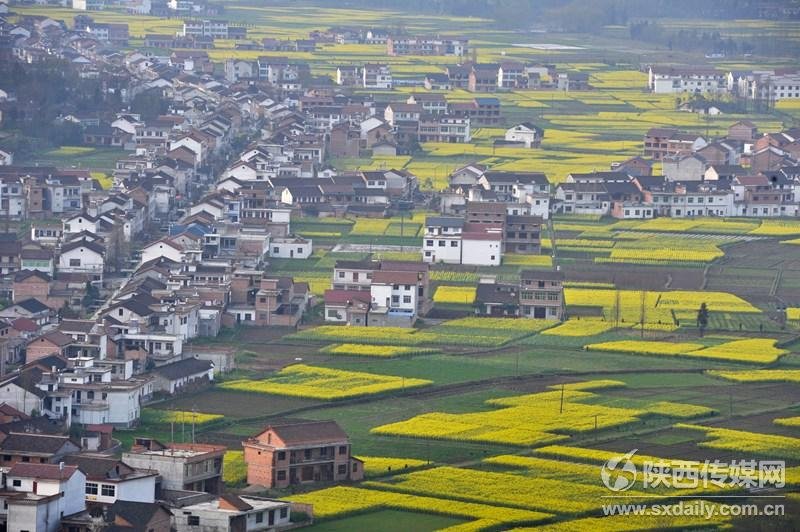 汉台市人口_汉台酒53度全部图片(3)