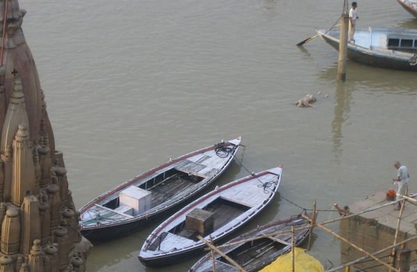 探秘印度恒河:与浮尸沐浴