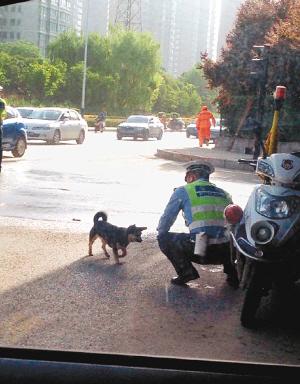 交警给流浪狗喂水 网友赞温柔交警帅到爆(图)