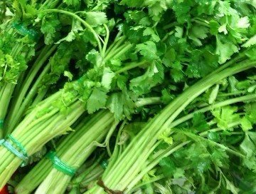 芹菜不要只吃茎也要吃叶