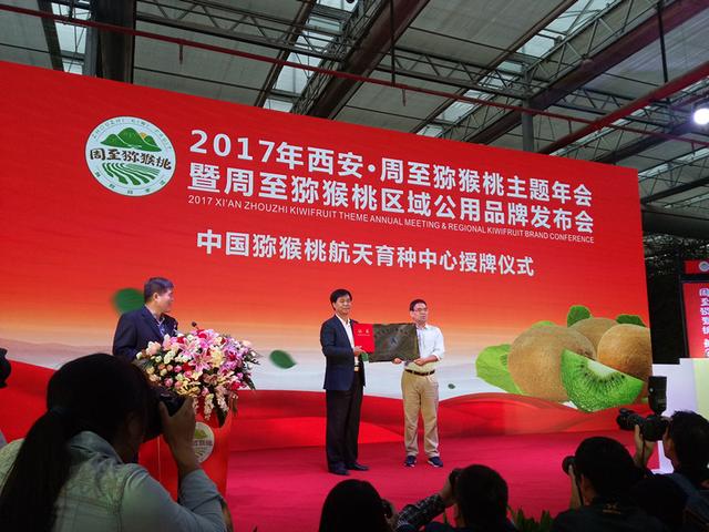 陕西周至助推猕猴桃产业标准化国际化