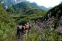 “还愁郊游没的玩？带你玩转环山路上56个秦岭峪"/