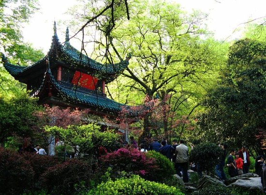 湖南岳麓山私藏野生动物 革命圣地变奢华会所_大秦网_腾讯网