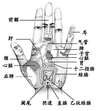 掌纹提示亚健康