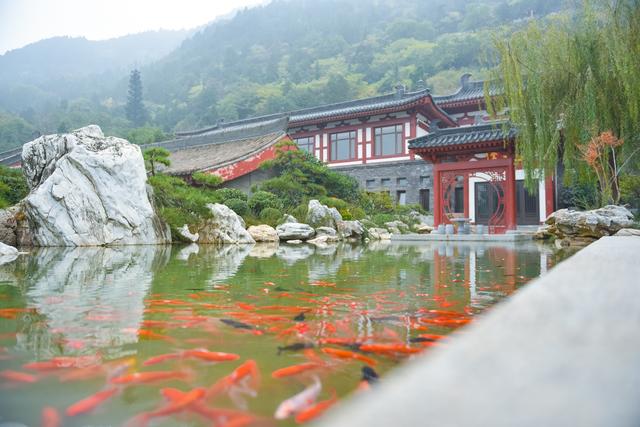 温泉暖身美食暖胃 老陕初冬去哪儿浪