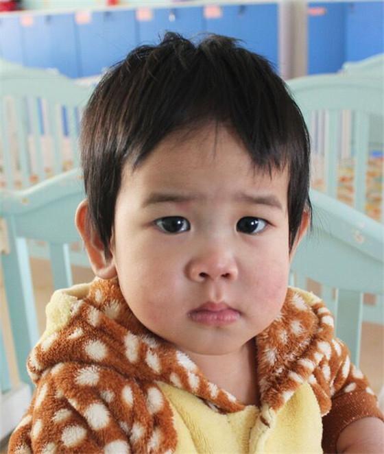 美国父母来榆为3岁养女寻亲生父母