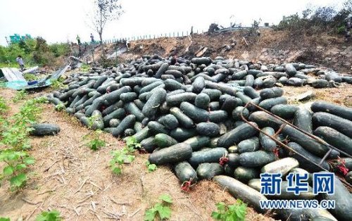 湖北随岳高速车祸已致23人死亡29人受伤图