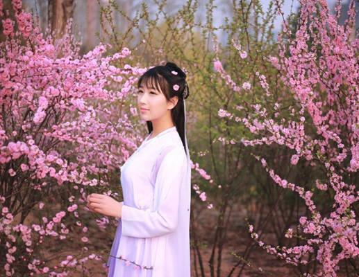 春天来桃花人面相映红 周末到陕西赏桃花全攻略 春天来桃花人面相映红 周末到陕西赏桃花全攻略