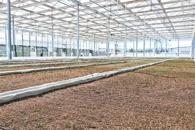 定边的gdp_定边盐湖(2)