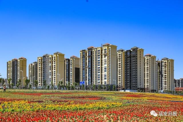 新区4宗地块建设使用权出让 以3.365亿元成交