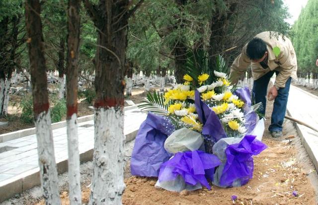 陕西树葬区昨日安葬首位逝者 死后化作一棵树