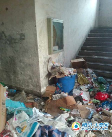 网友称陕西中医学院宿舍楼垃圾成山 异味逼人