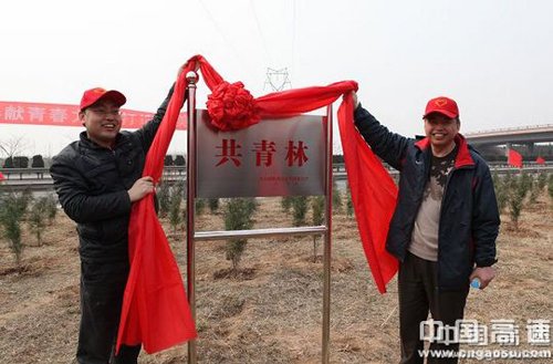 美化家园 闪耀青春主题植树活动