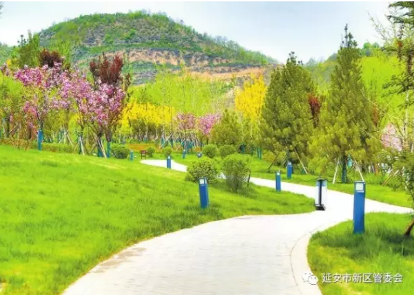 延安新区削山建城 挖填土方量5.7亿方