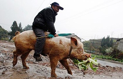 繁殖人口_人口普查(3)