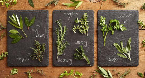 西餐里那些杂草是啥玩意 答案在这