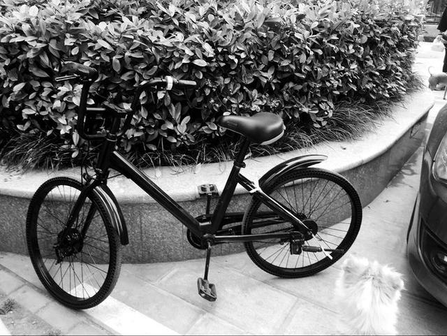 共享单车被染成黑色藏进小区 到底是何人所为