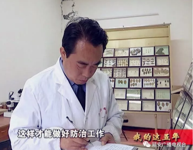 �Ӱ�ֲ��ֲ��վֱ�����ũҵ��ʧ��10��Ԫ