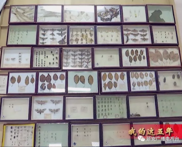 �Ӱ�ֲ��ֲ��վֱ�����ũҵ��ʧ��10��Ԫ