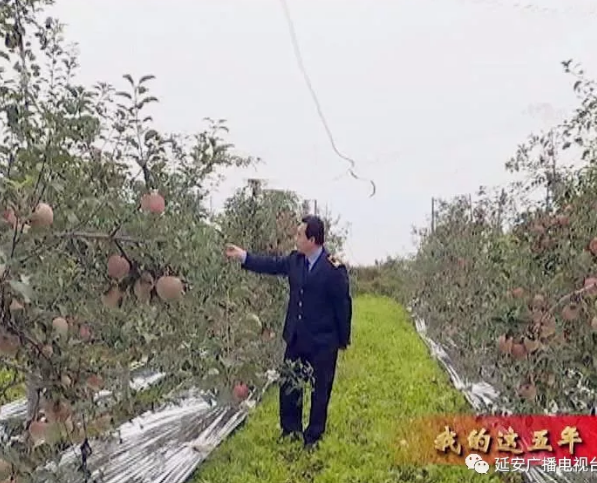 �Ӱ�ֲ��ֲ��վֱ�����ũҵ��ʧ��10��Ԫ