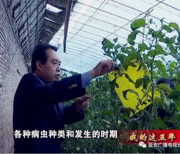 �Ӱ�ֲ��ֲ��վֱ�����ũҵ��ʧ��10��Ԫ